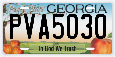 GA license plate PVA5030