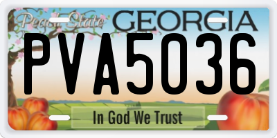 GA license plate PVA5036