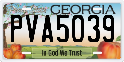 GA license plate PVA5039