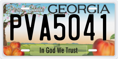 GA license plate PVA5041