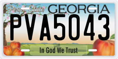 GA license plate PVA5043