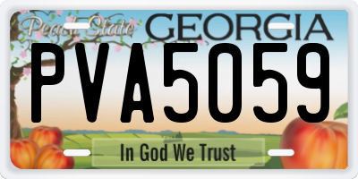 GA license plate PVA5059