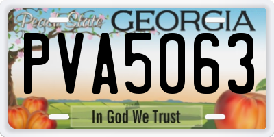 GA license plate PVA5063