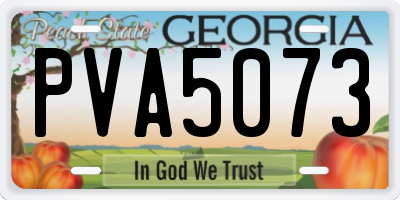 GA license plate PVA5073