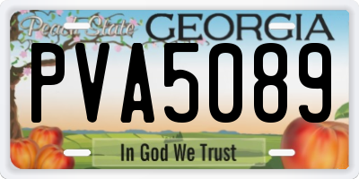 GA license plate PVA5089