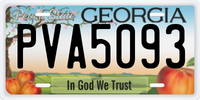 GA license plate PVA5093