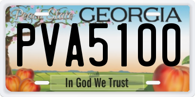 GA license plate PVA5100