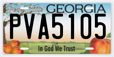 GA license plate PVA5105