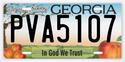 GA license plate PVA5107