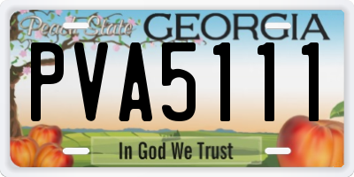 GA license plate PVA5111