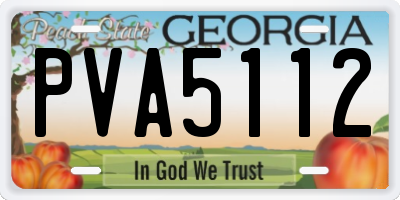 GA license plate PVA5112