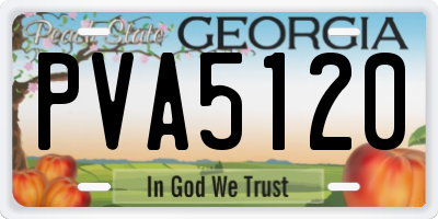 GA license plate PVA5120
