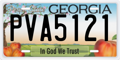 GA license plate PVA5121
