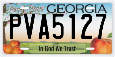 GA license plate PVA5127