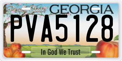 GA license plate PVA5128