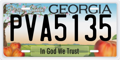 GA license plate PVA5135
