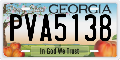 GA license plate PVA5138