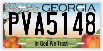 GA license plate PVA5148