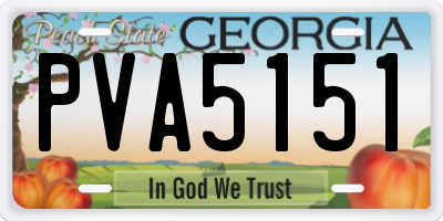 GA license plate PVA5151