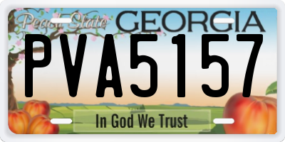 GA license plate PVA5157
