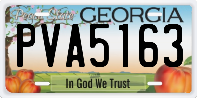 GA license plate PVA5163