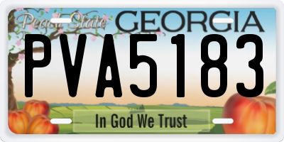 GA license plate PVA5183