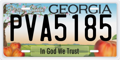 GA license plate PVA5185