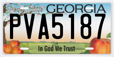 GA license plate PVA5187