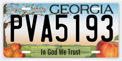 GA license plate PVA5193