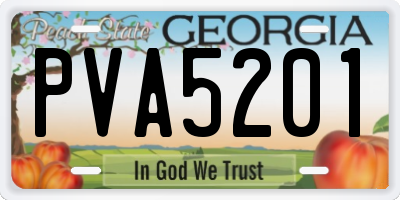GA license plate PVA5201