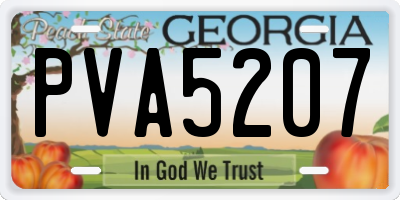 GA license plate PVA5207