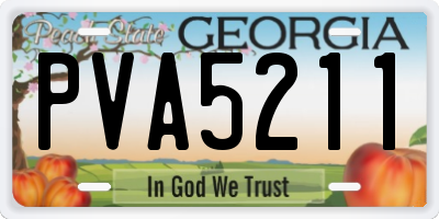 GA license plate PVA5211