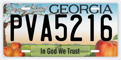 GA license plate PVA5216