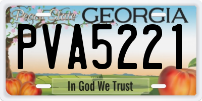 GA license plate PVA5221