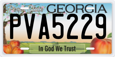 GA license plate PVA5229