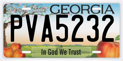 GA license plate PVA5232
