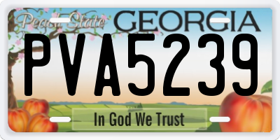 GA license plate PVA5239