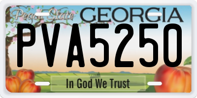 GA license plate PVA5250