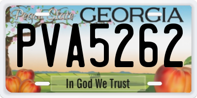 GA license plate PVA5262
