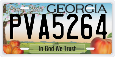 GA license plate PVA5264
