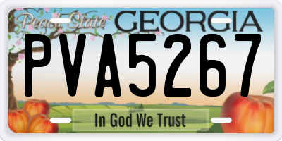 GA license plate PVA5267