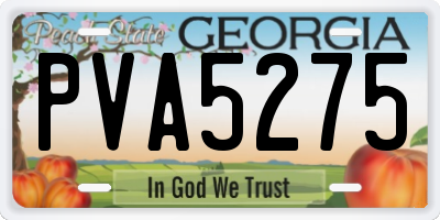 GA license plate PVA5275