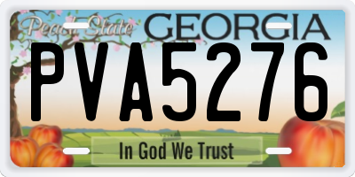 GA license plate PVA5276