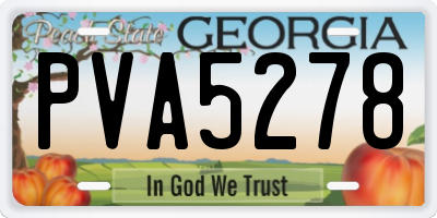 GA license plate PVA5278