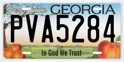 GA license plate PVA5284