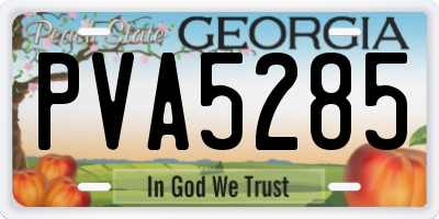 GA license plate PVA5285