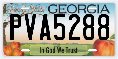 GA license plate PVA5288