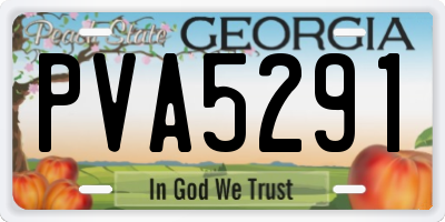 GA license plate PVA5291