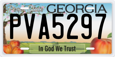 GA license plate PVA5297
