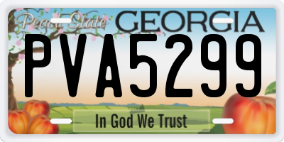 GA license plate PVA5299